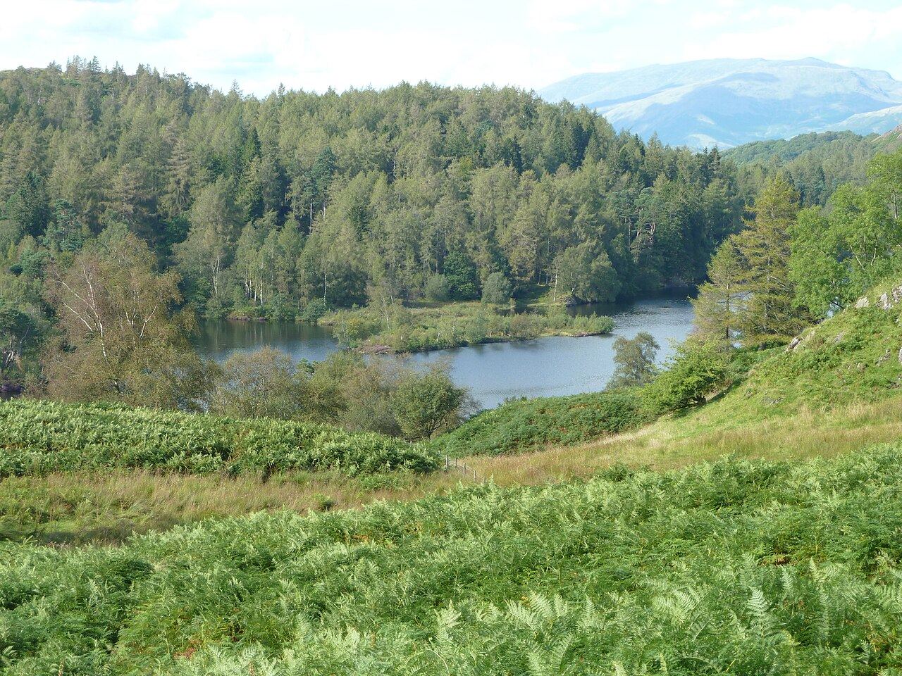 Lake District in Winter With Kids 2026/27: An Honest Guide
