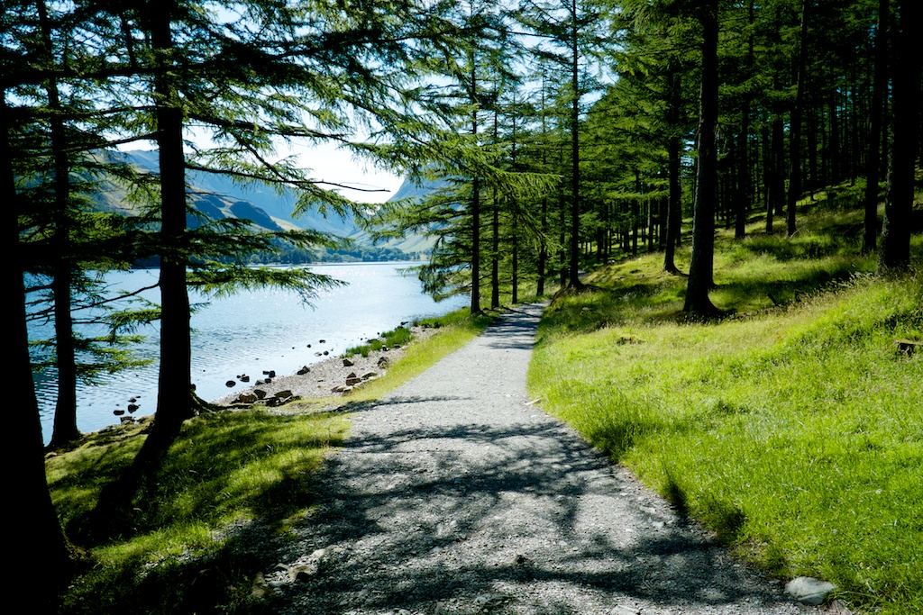 Buttermere lakeshore (first section), Buttermere