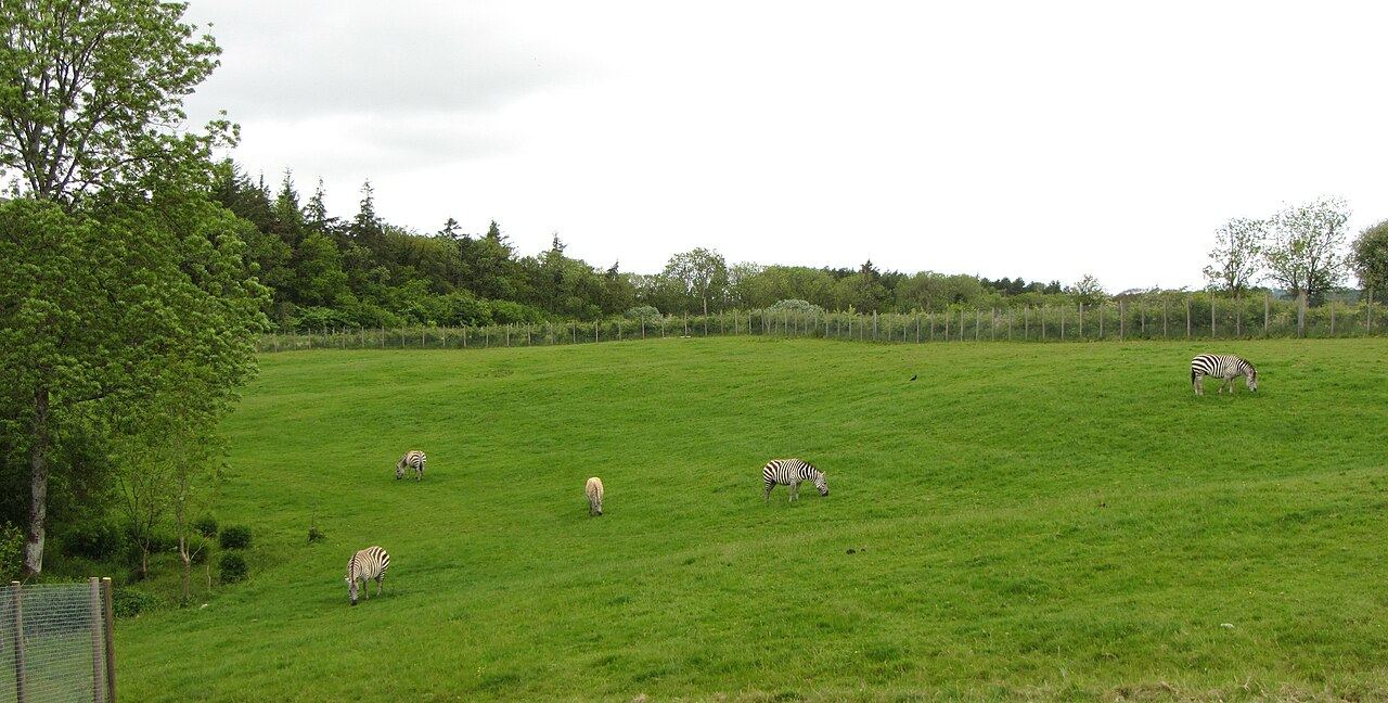 Lake District Wildlife Park, Bassenthwaite Lake, near Keswick