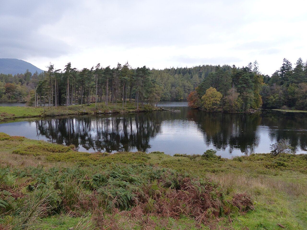 Tarn Hows circular walk, Coniston