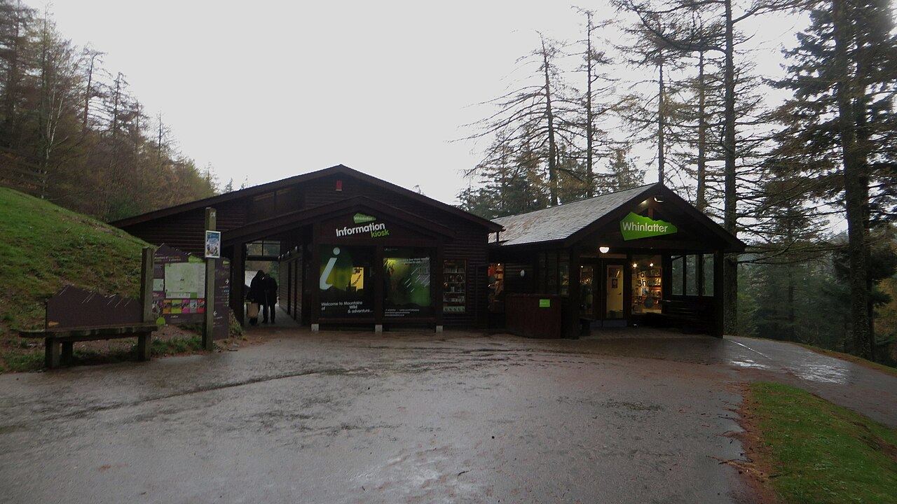 Whinlatter Forest, Braithwaite, near Keswick