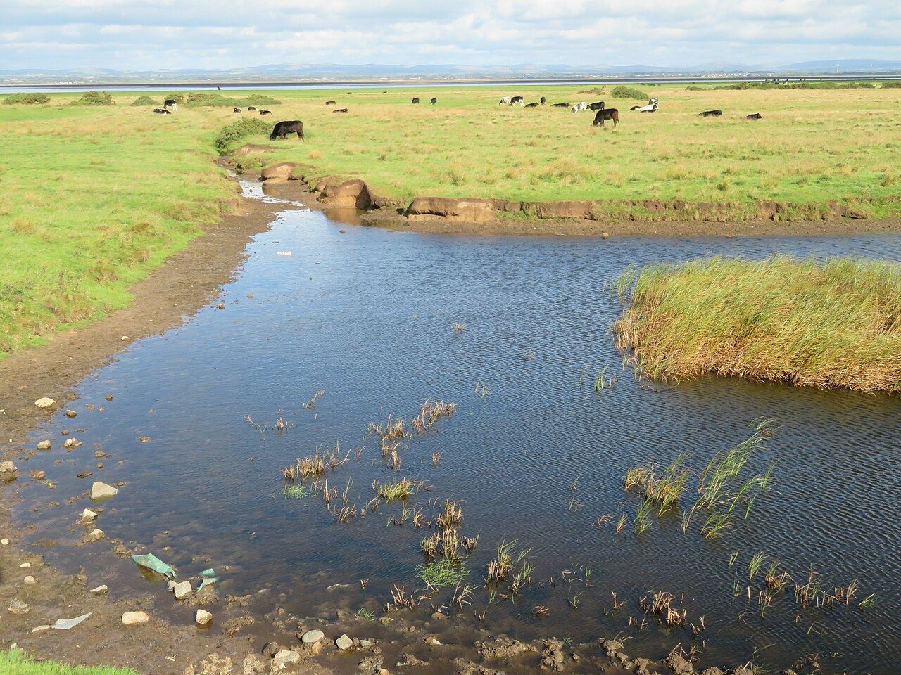 Burgh Marsh and Drumburgh