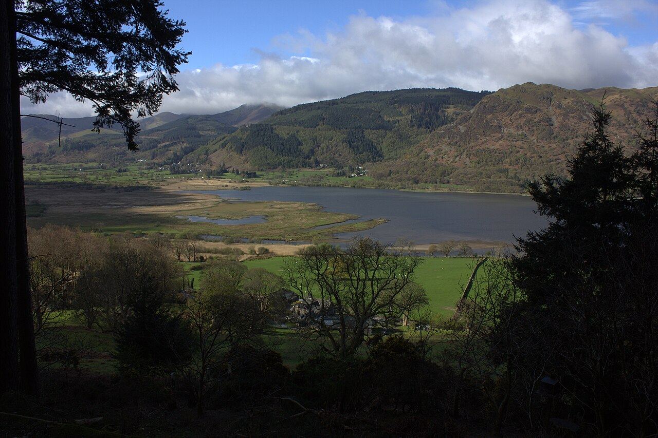 Dodd Wood and the Bassenthwaite ospreys