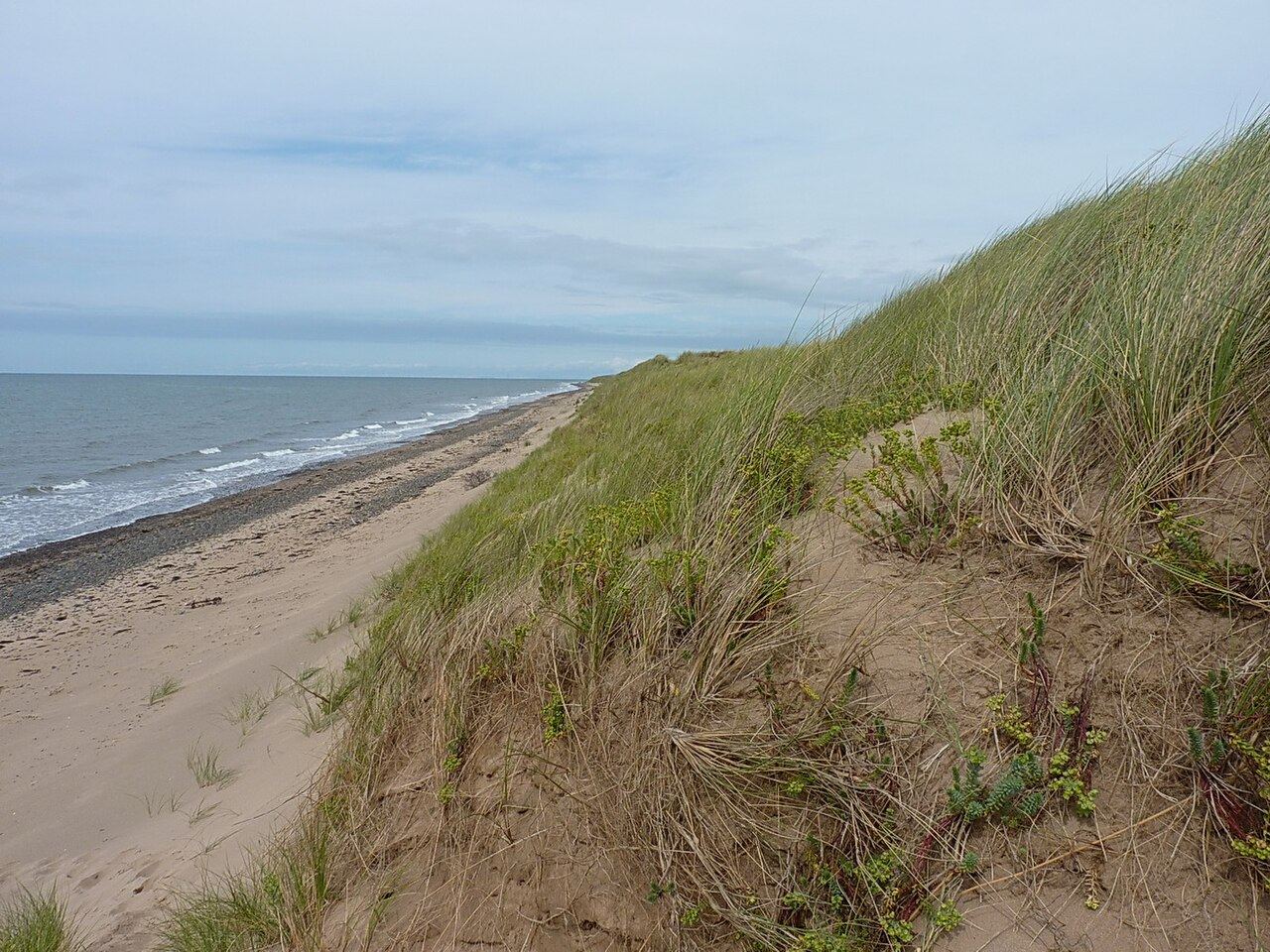 Drigg dunes and the Ravenglass estuary