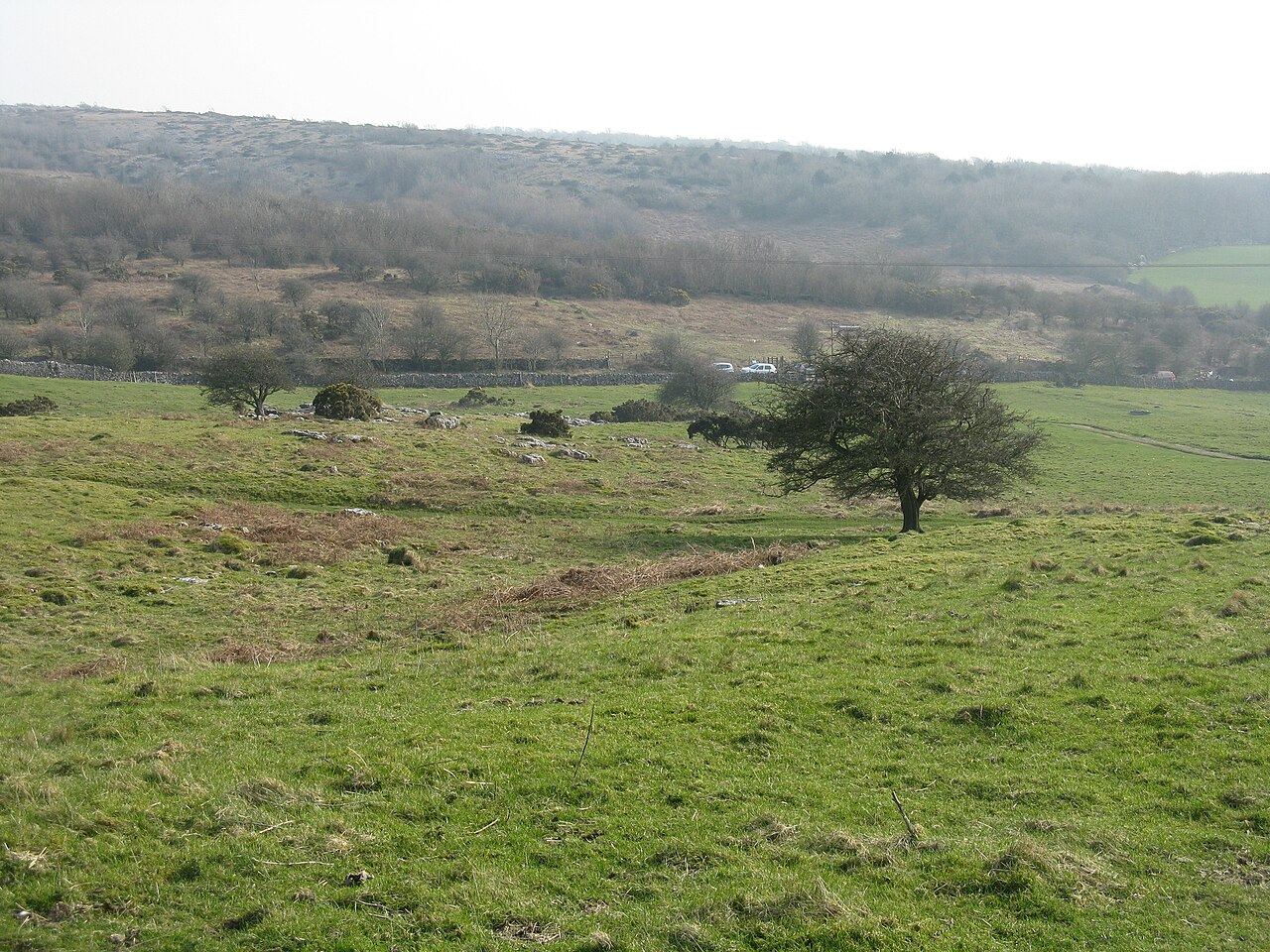 Hutton Roof Crags