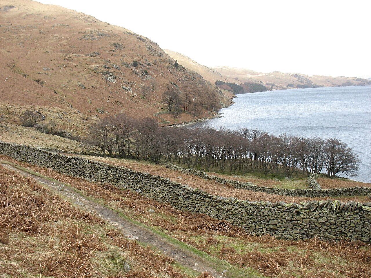RSPB Haweswater