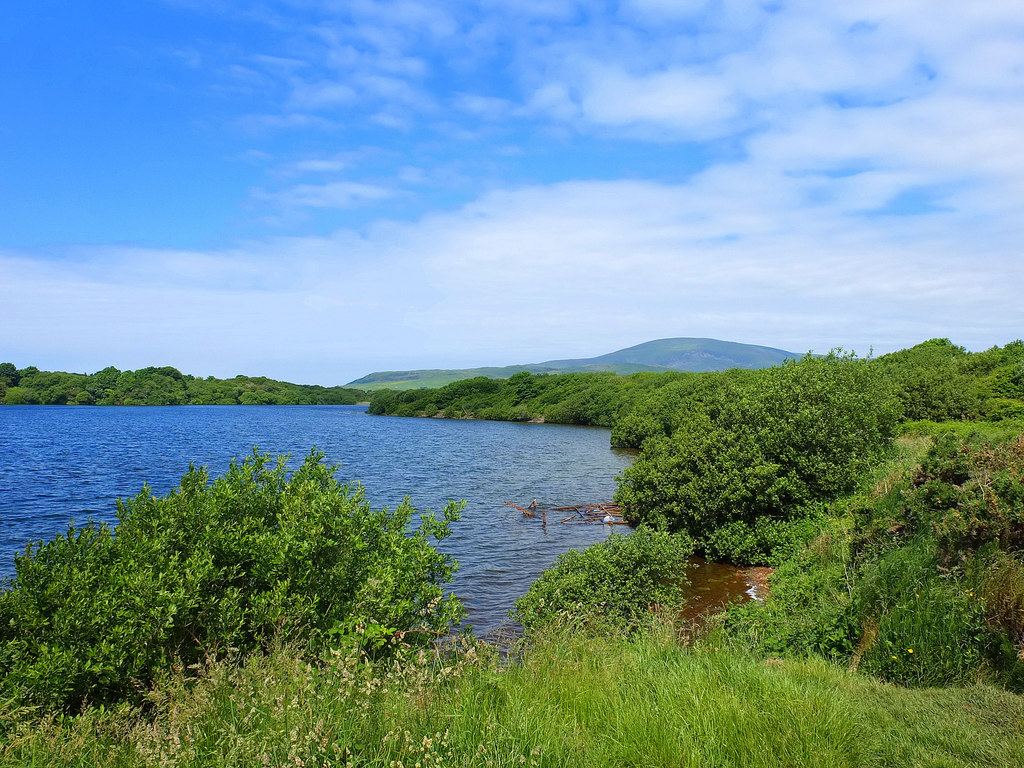 RSPB Hodbarrow