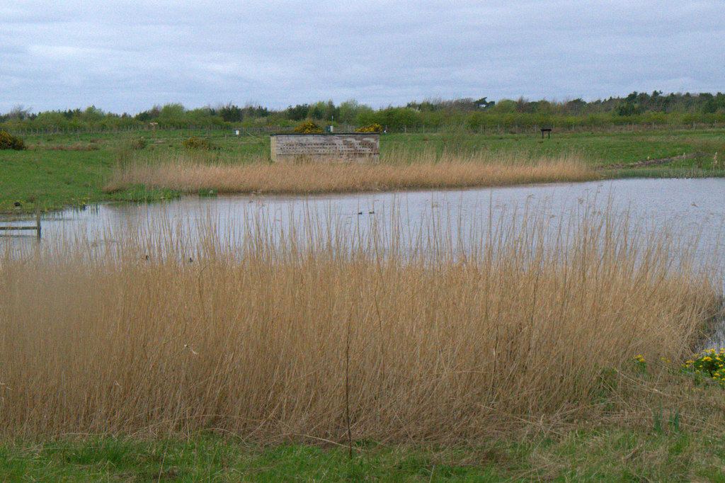 Watchtree Nature Reserve
