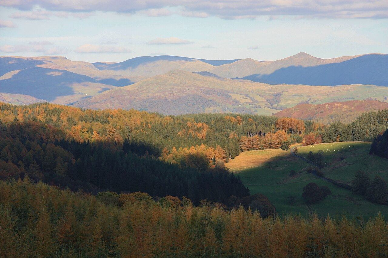 The forest around Grizedale Observatory, with trees and hillside under cloud